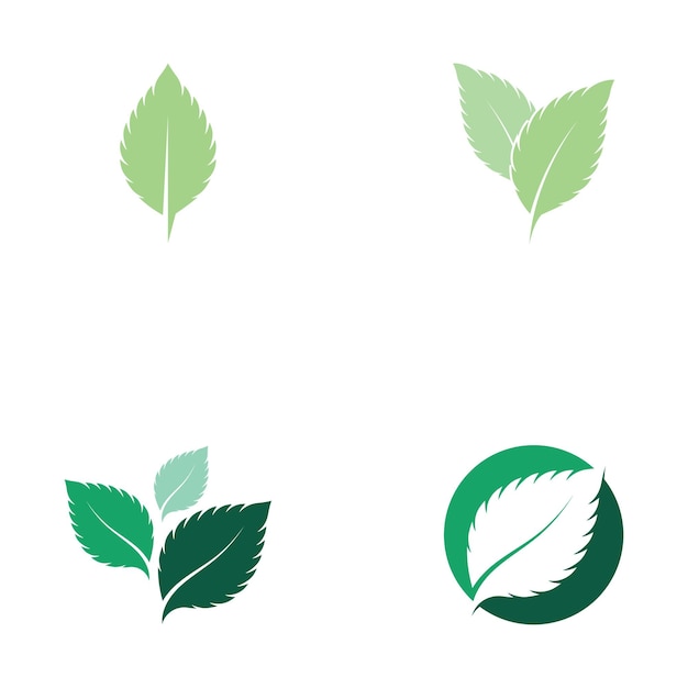 Muntblad verse natuur logo vector