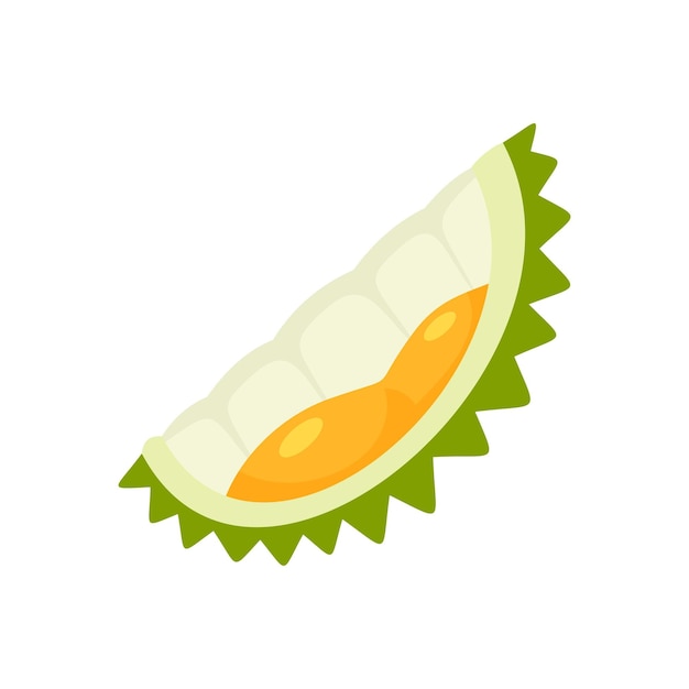 Musang durian piece icon Flat illustration of musang durian piece vector icon for web design