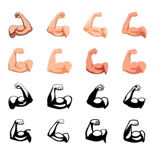 Vector muscle icon biceps icon flat and silhouette style