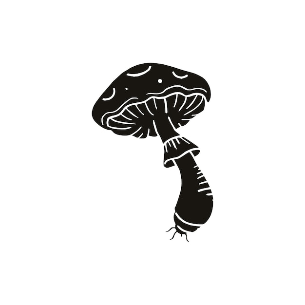 Vector mushroom in black and white illustration