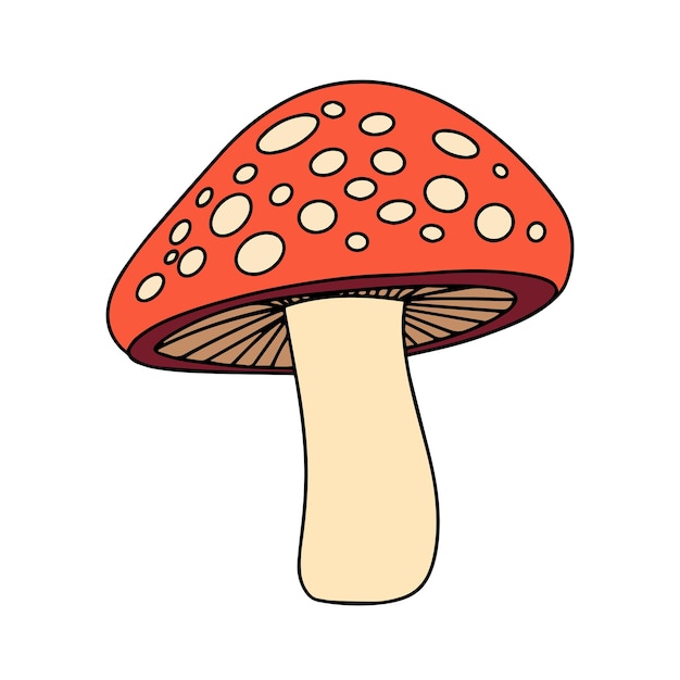 Mushroom colored outline Hand drawn mushroom in doodle style isolated on white background Autumn