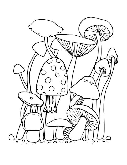 Mushroom for coloring book isolated illustration