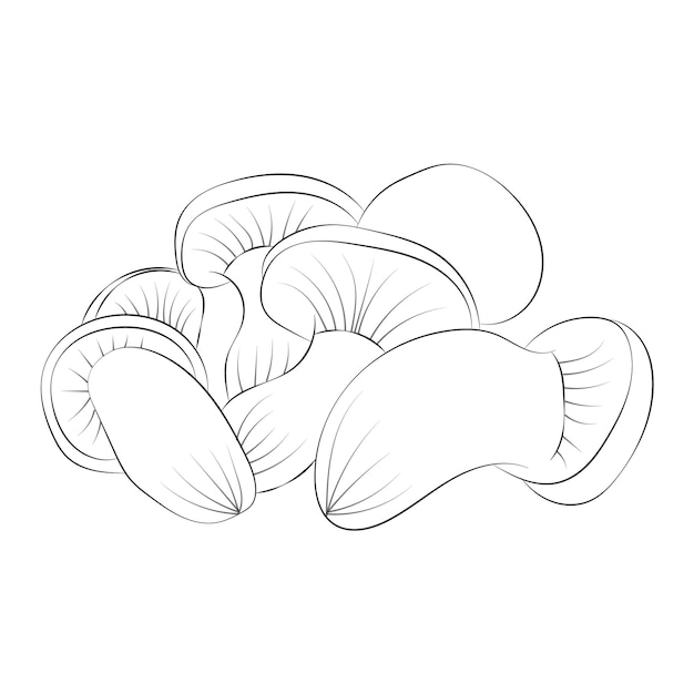 Vector mushroom coloring pages premium vector