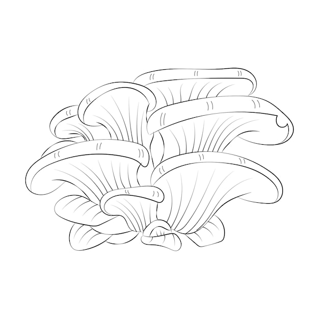 Mushroom coloring pages premium vector