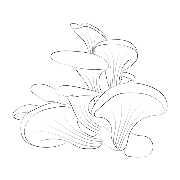 Vector mushroom coloring pages premium vector