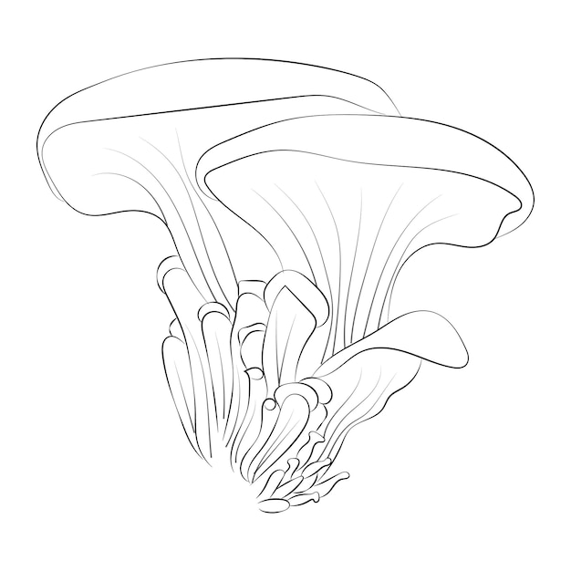 Vector mushroom coloring pages premium vector