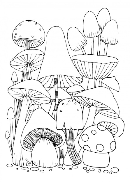 Mushroom doodles  for coloring book Isolated illustration on white background