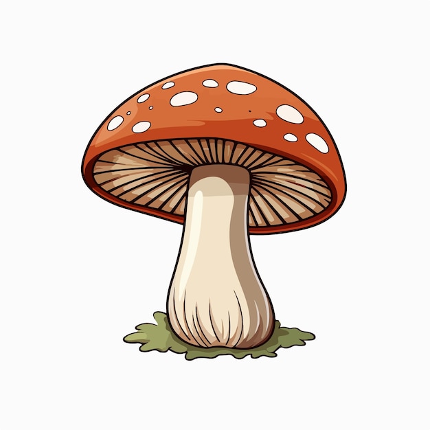 mushroom flat vector illustration mushroom cartoon hand drawing isolated vector illustration