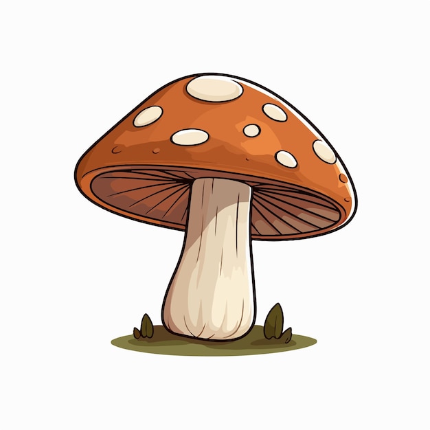 mushroom flat vector illustration mushroom cartoon hand drawing isolated vector illustration