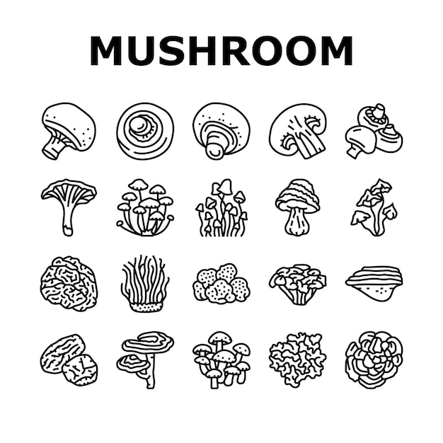 Mushroom food forest fungi icons set vector