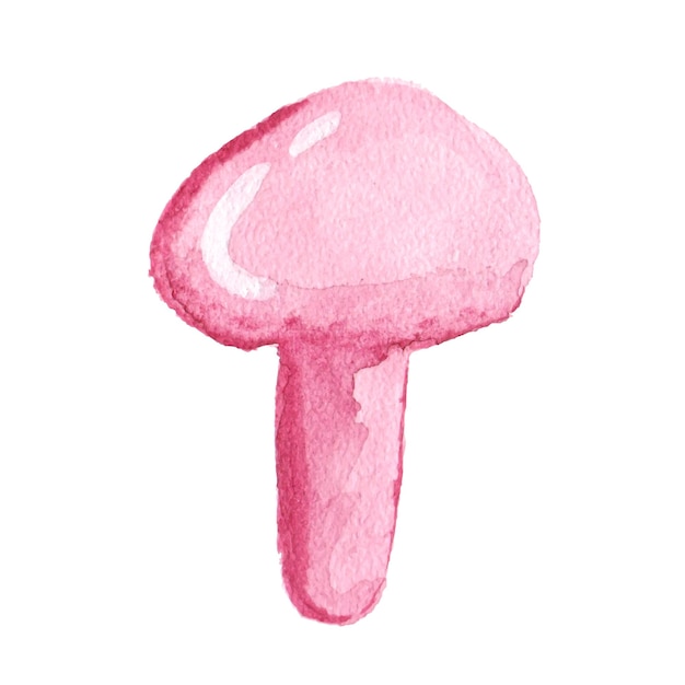 Vector mushroom forest plant for eating watercolor