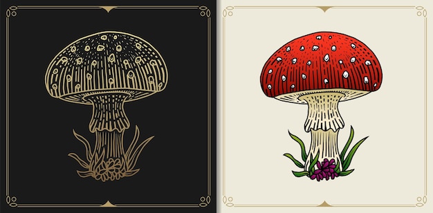 Mushroom or fungus in engraving hand drawn style