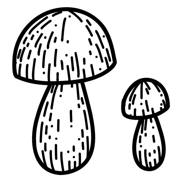 Mushroom in hand drawn doodle style. Linear autumn vector illustration