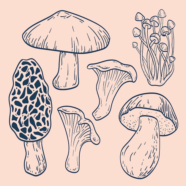 Векторная иллюстрация грибов, нарисованная вручную