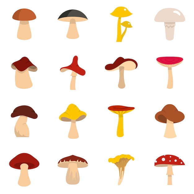 Mushroom icons set in flat style