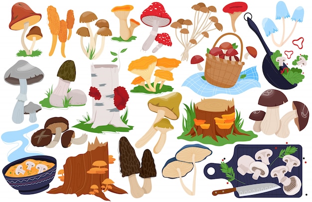 Грибные иллюстрации, карикатура с лесными фермами, съедобные или ядовитые грибы, свежие белые вешенки, грибной сморчок