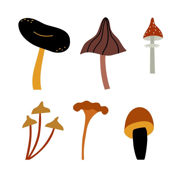 Vector mushroom, mushrom house