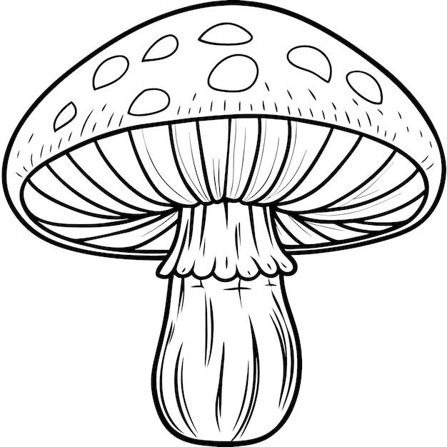 Vector mushroom outline illustratie digitale kleurboek pagina lijn kunst tekening