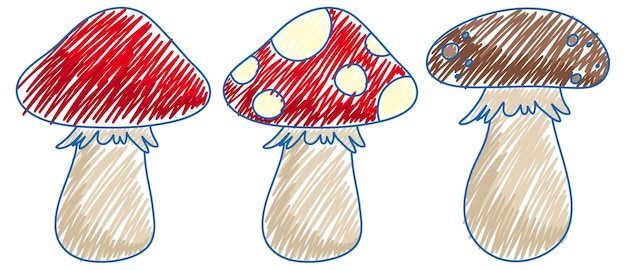 Vector mushroom in pencil colour sketch simple style