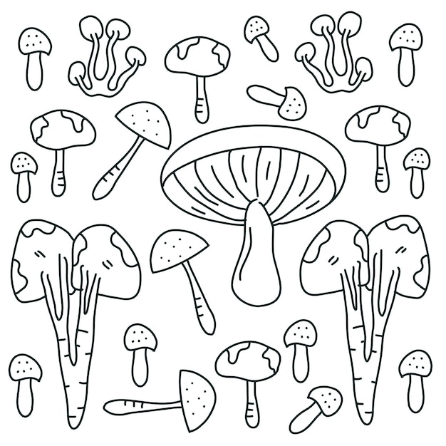 Disegno vettoriale del set di piante di funghi