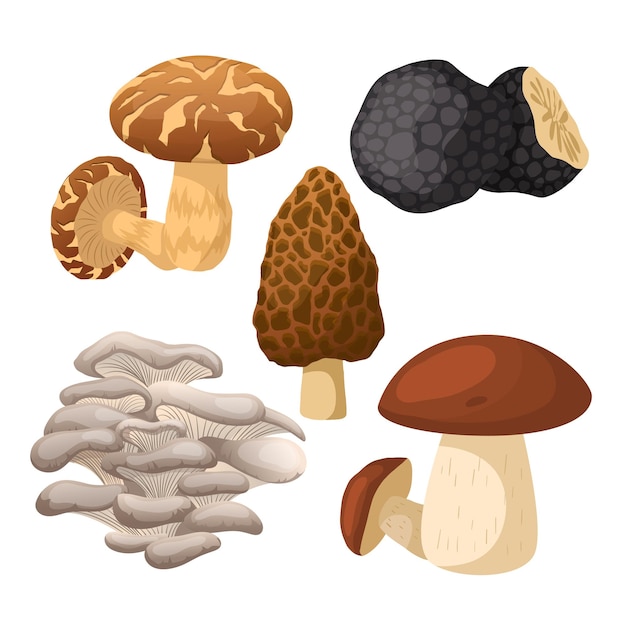 Mushroom retro set cartoon vector