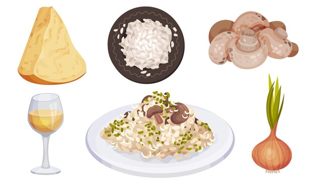 Vector mushroom risotto served on plate with ingredients around vector set
