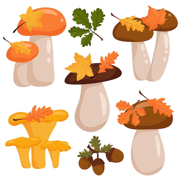 Vector mushroom set. element of autumn design, leaves, acorns. vector illustration in cartoon style, isolated white background