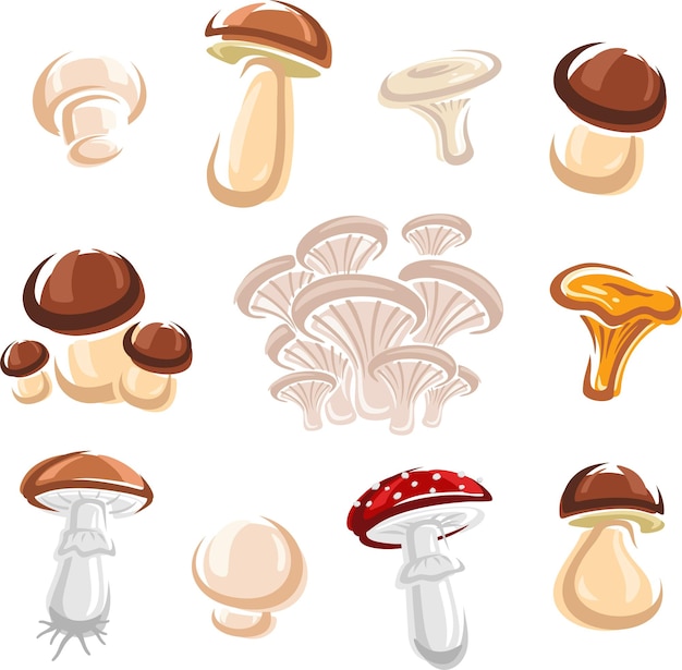 Mushroom set vector