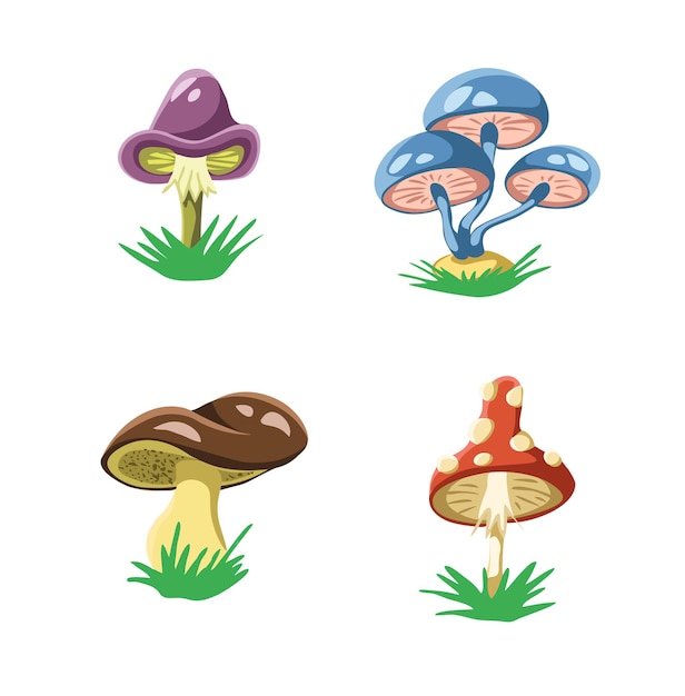 Mushroom set