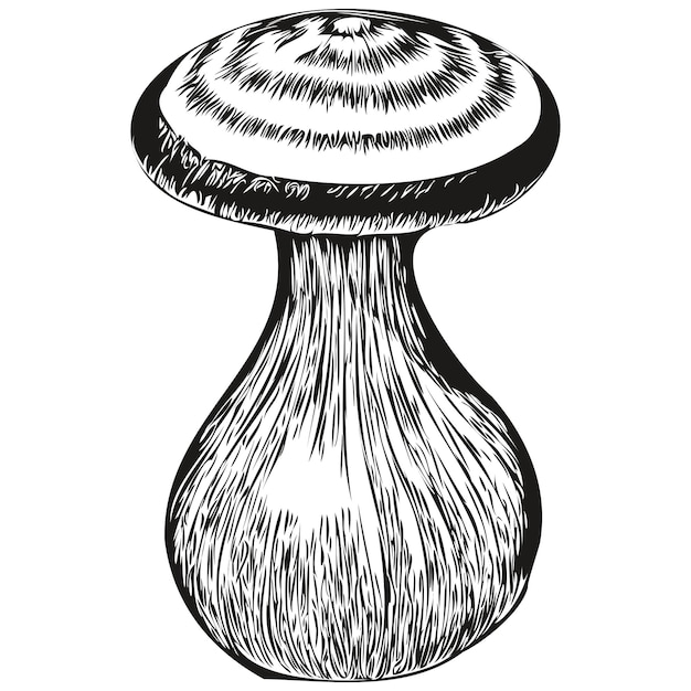 Mushroom silhouette line illustration hand drawn black and white vector sketching fungus