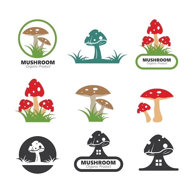 Vector mushroom vector illustration icon design