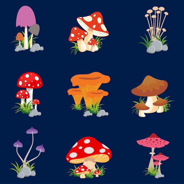 Mushroom Vector