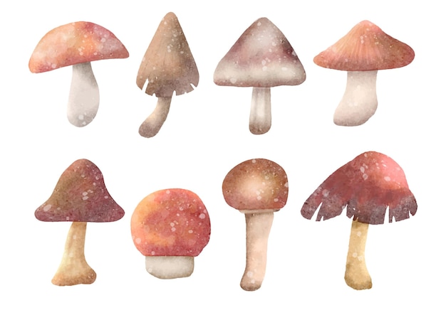 Mushroom watercolor element on isolated background