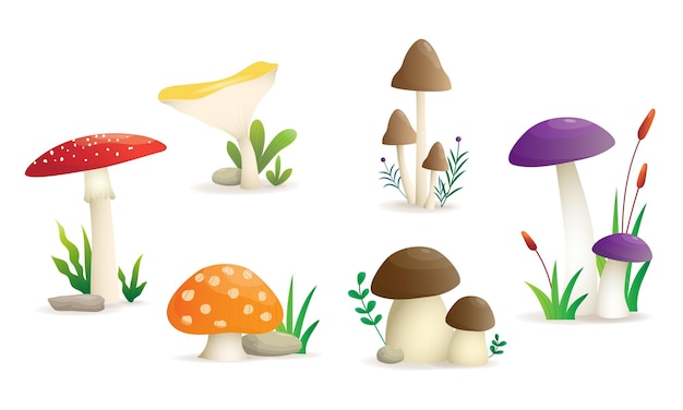 Mushroom1