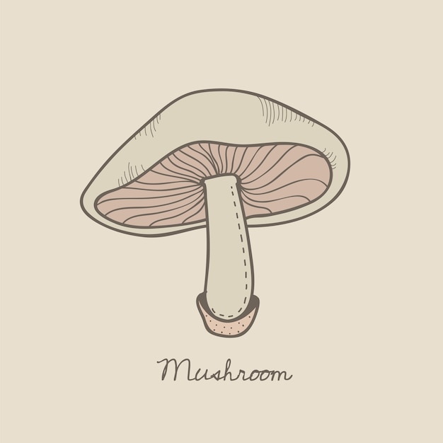  a mushroom