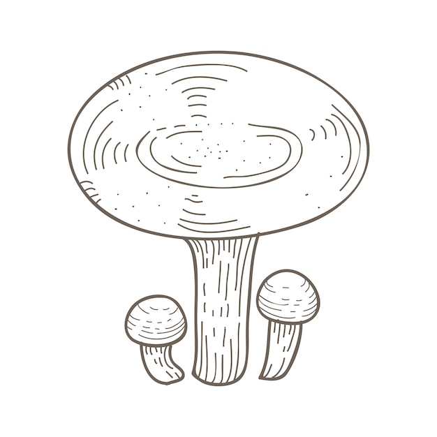 Mushroom