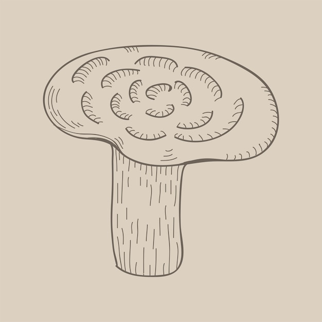 Mushroom