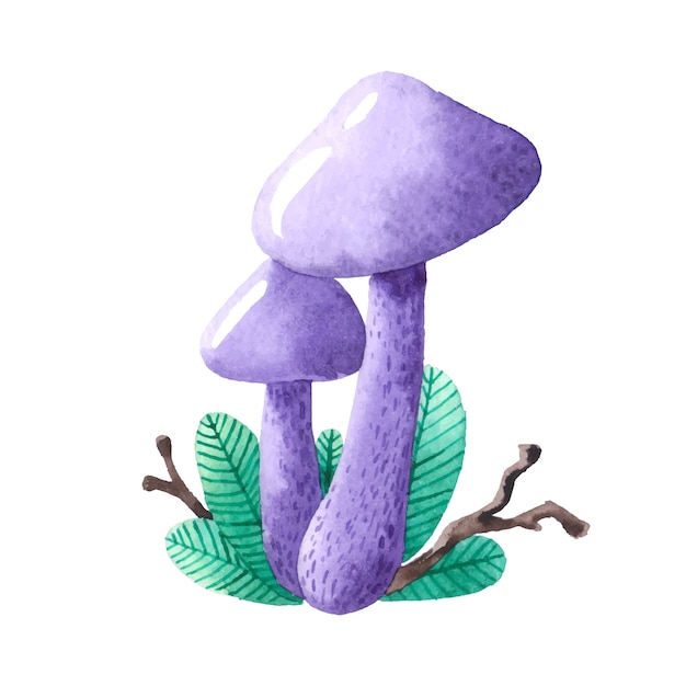 Mushroom.