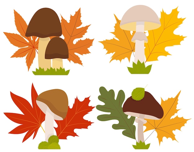 Mushrooms and autumn leaves in flat design isolated vector