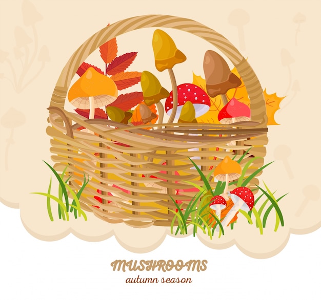 Mushrooms in a basket autumn harvest. Seasonal templates vector