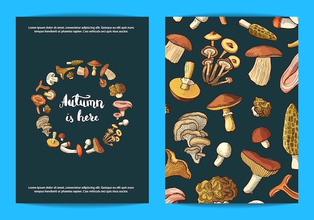 Mushrooms card, flyer template