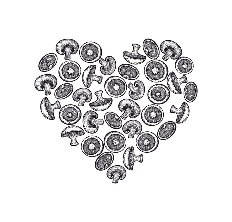 Vector mushrooms champignons in the shape of a heart handdrawn illustration vegetarian food for label