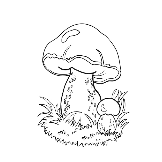 How to Draw a Mushroom (2 Drawing Tutorials) - VerbNow