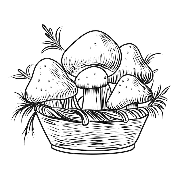 Mushrooms coloring page Autumn composition linear illustrationAutumn coloring book for children