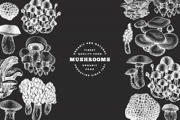 Mushrooms design template. Vector hand drawn illustrations on chalk board. Mushroom in retro style. Autumn food.