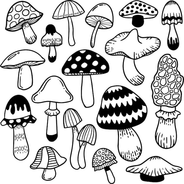 Mushrooms doodle collection