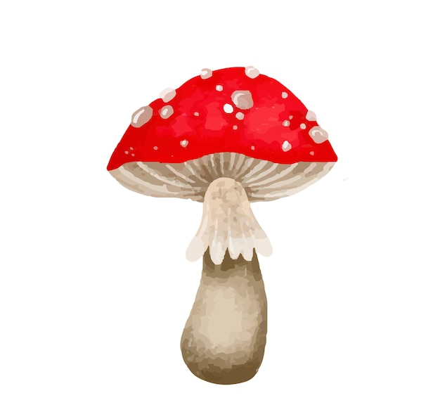 Mushrooms fantastic set Hand drawn illustration of colored mush