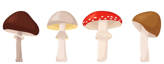 Mushrooms in flat style isolated vector