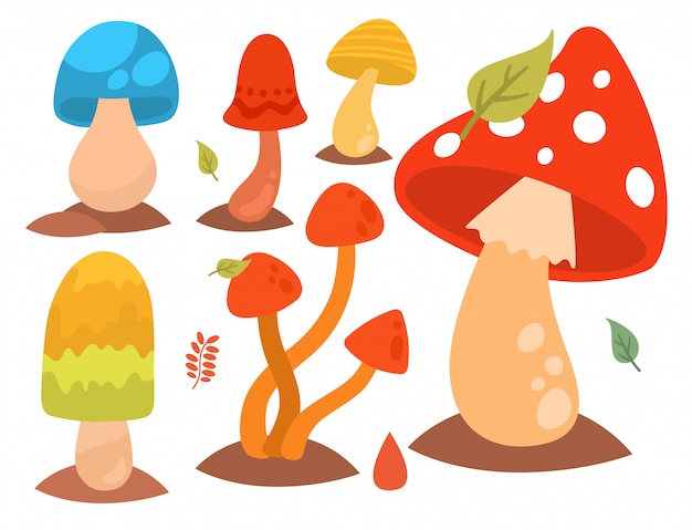 Vector mushrooms fungus agaric toadstool different art style design fungi vector illustration red hat