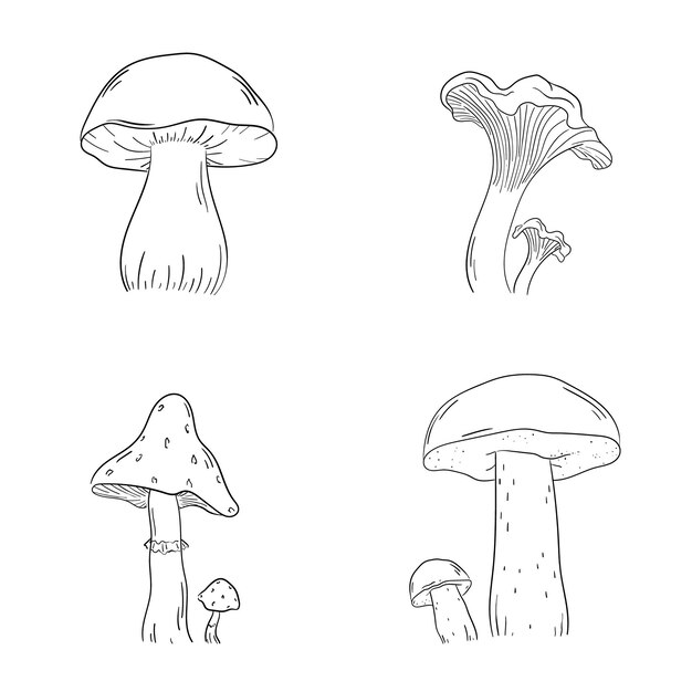 Mushrooms hand drawn on a white isolated background